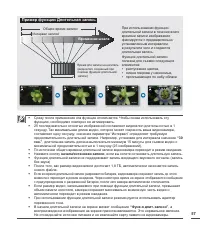 Страница 67