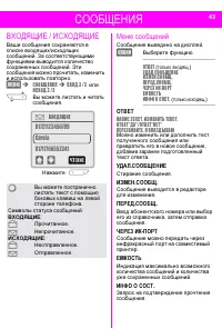 Страница 43