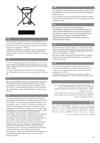 Страница 43
