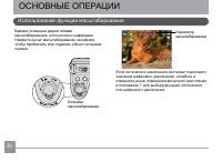 Страница 37