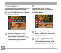 Страница 55