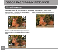 Страница 21