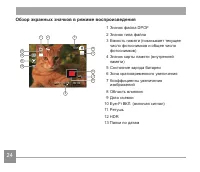 Страница 25