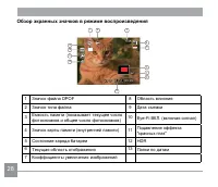 Страница 29