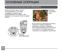 Страница 41