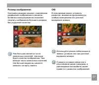 Страница 58