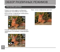 Страница 25