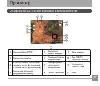 Страница 38