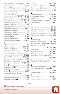 Страница 243
