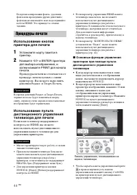 Страница 44