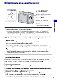 Страница 29