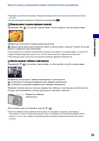 Страница 25