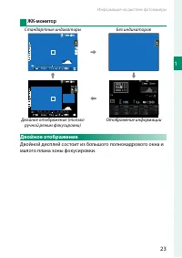 Страница 43