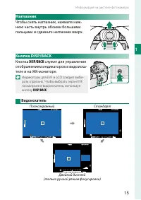 Страница 33