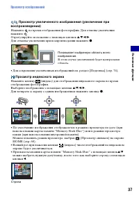 Страница 37
