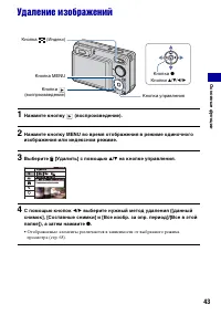 Страница 43