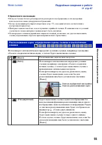 Страница 55