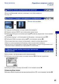 Страница 81