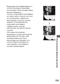 Страница 113