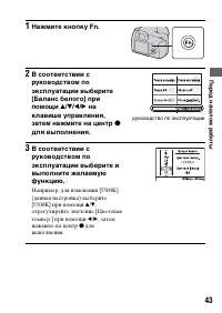 Страница 43