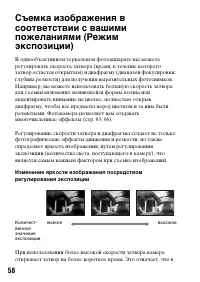 Страница 58