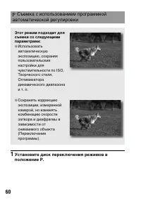 Страница 60
