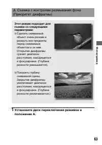 Страница 63