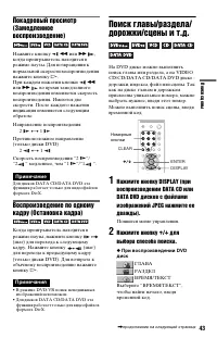 Страница 43