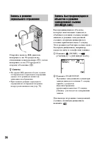 Страница 36