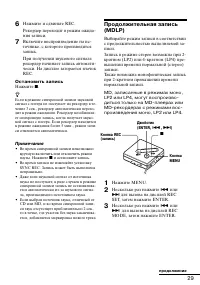 Страница 29