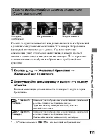 Страница 111