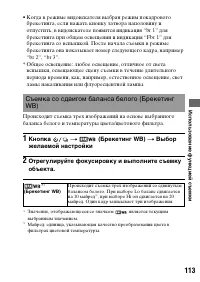 Страница 113