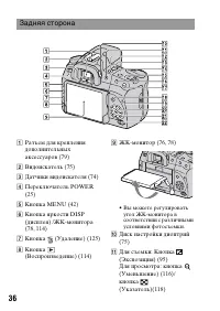 Страница 36