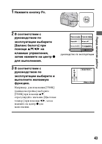 Страница 43