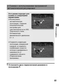 Страница 61
