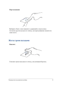 Страница 31