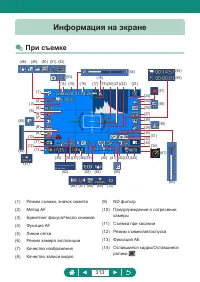 Страница 313