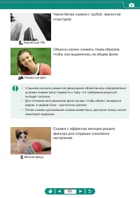 Страница 83