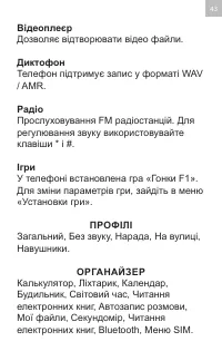 Страница 43