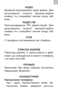 Страница 43