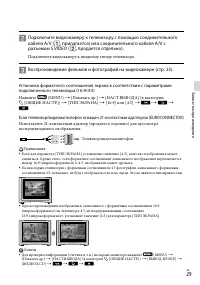 Страница 29