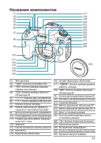 Страница 31