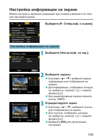 Страница 539