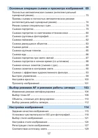 Страница 17