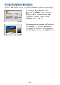 Страница 262