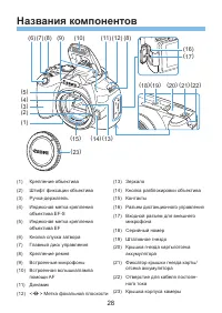 Страница 28