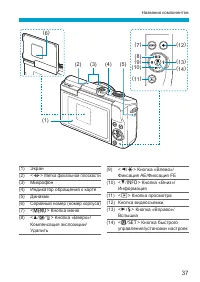 Страница 37