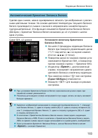 Страница 103