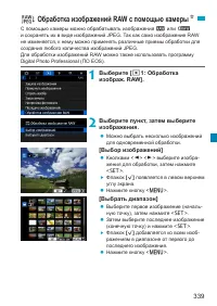 Страница 339