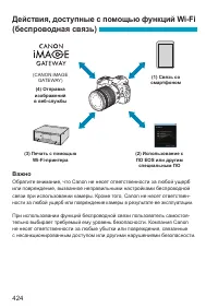Страница 424
